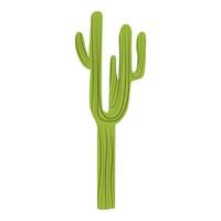 Desert cactus in flat design. Green succulent with spikes and thorns. illustration isolated. vector