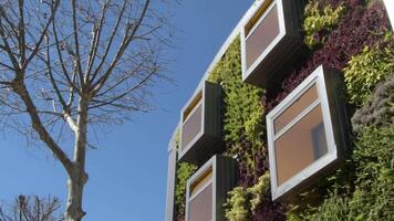Windows in facade of modern building with vegetation walls video