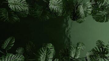 Jungle background, Top view tropical leaves moving on green water backdrop. 3d render. Seamless loop. video