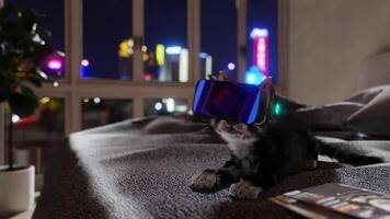 Cat using VR glasses. 3d render, seamless loop. video