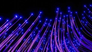 Seamless loop abstract technology background vawing bunch of optical fibers. video