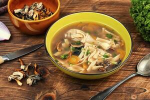 Chicken noodle soup with parsley and vegetables. photo