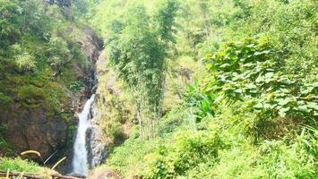 A waterfall in the middle of a forest in western Thailand photo