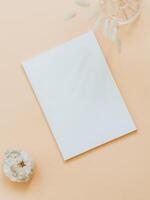 Empty blank white magazine or catalog cover layout, vase and dried grass and white crystal photo