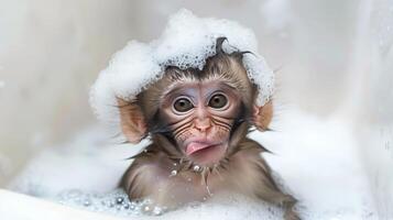 a cute monkey sits in a bathtub with plenty of foam on his head, isolated background photo