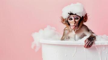 a cute monkey sits in a bathtub with plenty of foam on his head, isolated background photo