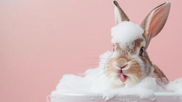 a cute rabbit sits in a bathtub with plenty of foam on his head, isolated background photo