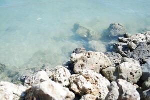Rocky shore of the sea on a background photo