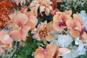 A vibrant arrangement of peach colored flowers photo