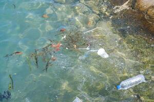 Plastic waste, leaves, and debris floating on clear seawater near the rocky shore photo