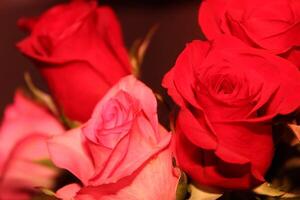 Bouquet Of Red And Pink Roses In A Vase. photo