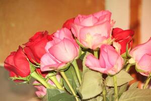 Bouquet Of Red And Pink Roses In A Vase. photo