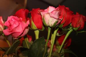 Bouquet Of Red And Pink Roses In A Vase. photo