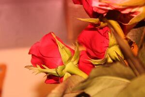 Bouquet Of Red And Pink Roses In A Vase. photo
