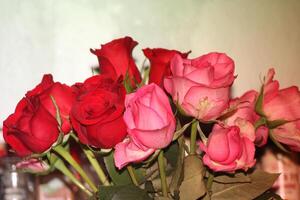Bouquet Of Red And Pink Roses In A Vase. photo