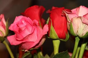 Bouquet Of Red And Pink Roses In A Vase. photo