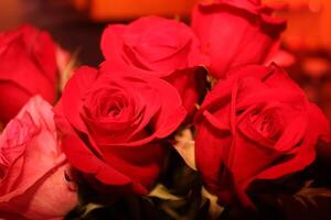 Bouquet Of Red And Pink Roses In A Vase. photo