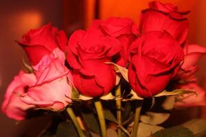 Bouquet Of Red And Pink Roses In A Vase. photo