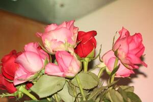 Bouquet Of Red And Pink Roses In A Vase. photo