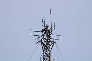 Telecommunications Tower High IN The Sky With A Cloudy Sky Background photo