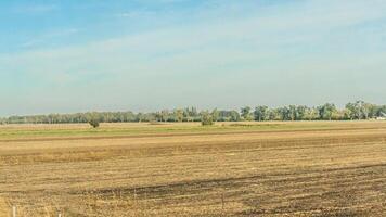 Agricultural fields with young green shoots of grain crops and plowed field without sowing. With trees in the background on the hills. Fallow concept. Alternation. photo