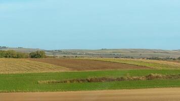 Agricultural fields with young green shoots of grain crops and plowed field without sowing. With trees in the background on the hills. Fallow concept. Alternation. photo