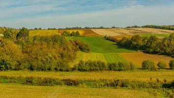 Agricultural fields with young green shoots of grain crops and plowed field without sowing. With trees in the background on the hills. Fallow concept. Alternation. photo
