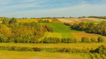 Agricultural fields with young green shoots of grain crops and plowed field without sowing. With trees in the background on the hills. Fallow concept. Alternation. photo