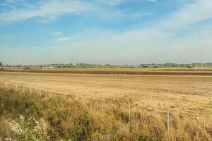 Agricultural fields with young green shoots of grain crops and plowed field without sowing. With trees in the background on the hills. Fallow concept. Alternation. photo