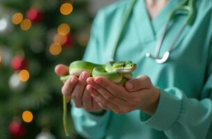 A veterinarian holds a cute green snake in his arms in a green suit against the background of a Christmas tree. The symbol of the new Year photo