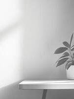 A beautifully serene minimalist setting showcasing a potted plant on the table and soft light gracefully illuminating a white wall photo