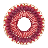 Dried Strawberry Chunk Mandala deep red dried strawberry chunks spiraling into a symmetrical circular pattern png