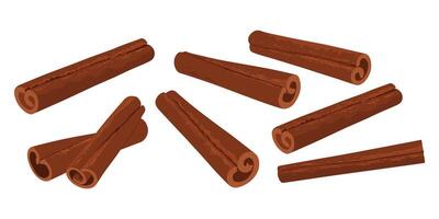 Set of cinnamon sticks isolated on white background. Hand drawn cinnamon sticks. vector