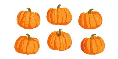 Pumpkins of different shapes set isolated on white background. Hand drawn simple autumn set. vector