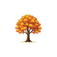 Hand Drawn Maple Tree Design for Nature Lovers vector