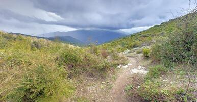 Panoramic view of Corsicas eastern coastline captured from the mountainous inland with lush greenery photo