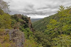 Panoramic view of Corsicas eastern coastline captured from the mountainous inland with lush greenery photo