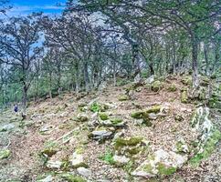Dense forest along a mountain trail in the Corsican mountains with rocks and trees creating a rugged landscape photo