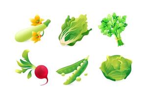 Set of realistic 3D icons of spring vegetables. Zucchini, lettuce, parsley, radish, green peas, cabbage. vector