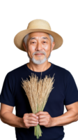 Senior farmer holding wheat on transparent background png
