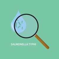 Salmonella Typhi bacterium causing of typhoid fever. Salmonella enterica Typhi Bacteria in flat style isolated on white background. Bacterial microorganism. Concept of Biology and medical. vector