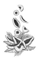 illustration of Papaya Fruits with palm leaves in linear style. Food etching of pawpaw plant painted by black inks. Outline Drawing of exotic tropical dessert. Sketch for production label. vector