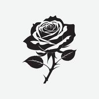 Rose Flower Graphics Perfect for Print Digital Use vector