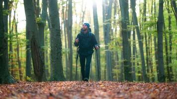A man is walking through a forest with leaves on the ground video