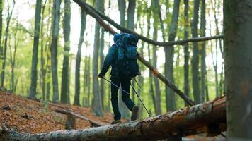 A person with a backpack walking across a fallen tree video