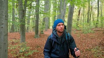 A man with a backpack walking through a forest video