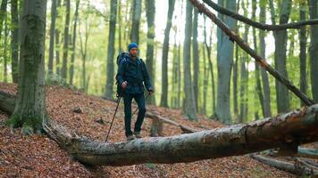 A man with a backpack walking on a fallen tree video