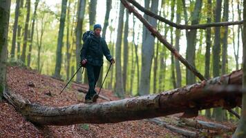 A man with a backpack and ski poles walking through a forest video