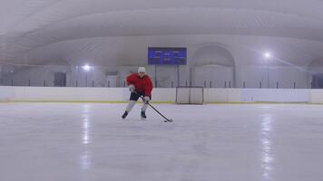 A man in a red jacket is playing hockey on an ice rink video