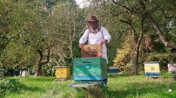 Beekeeper in beekeeping suit with beehives in the field video